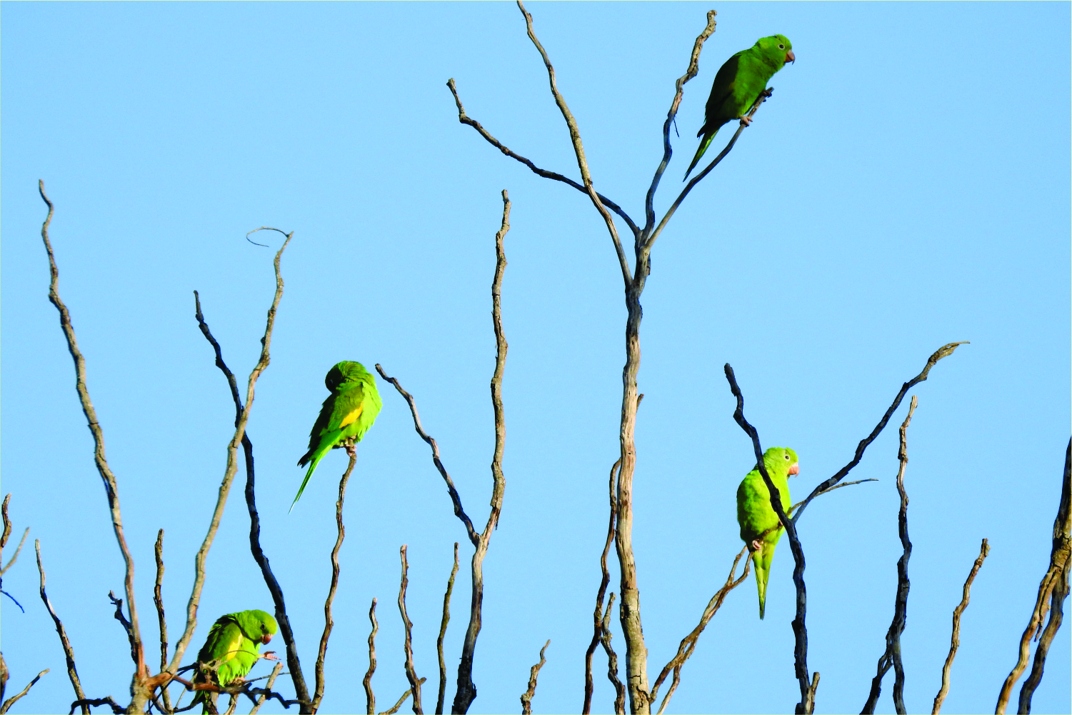 Parque Ecológico das Sucupiras