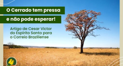 Artigo Cesar Victor -Correio Brasiliense -Funatura