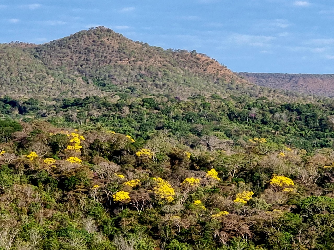 RPPN Serra, em Aparecida do Rio Negro (TO)